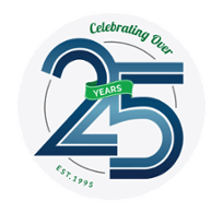 WSI Digital Marketing Agency 25 Years Celebrating Over Seal